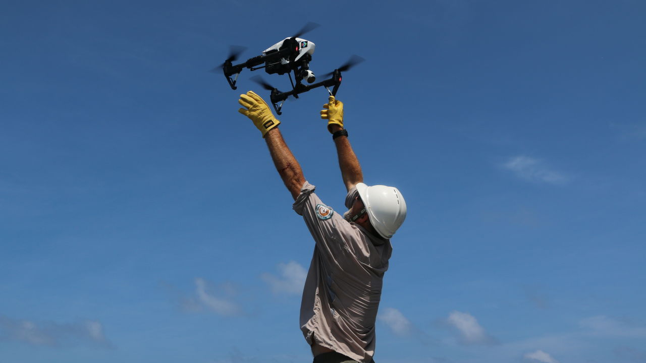 Using drones at Raine Island