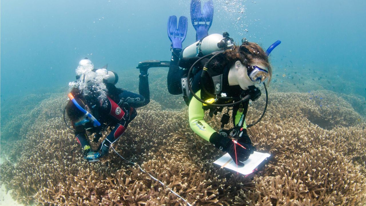 ReefBlitz kicks off in Moreton Bay