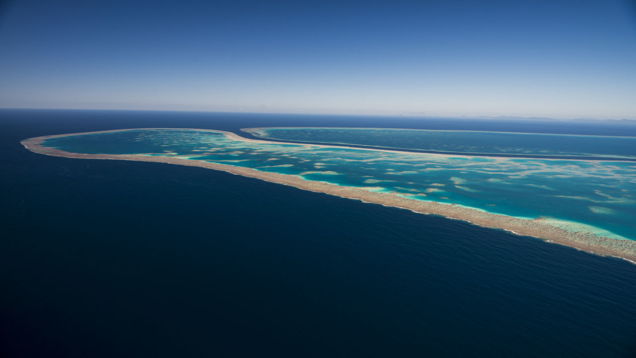 100 reefs may hold the key to regeneration of the Reef