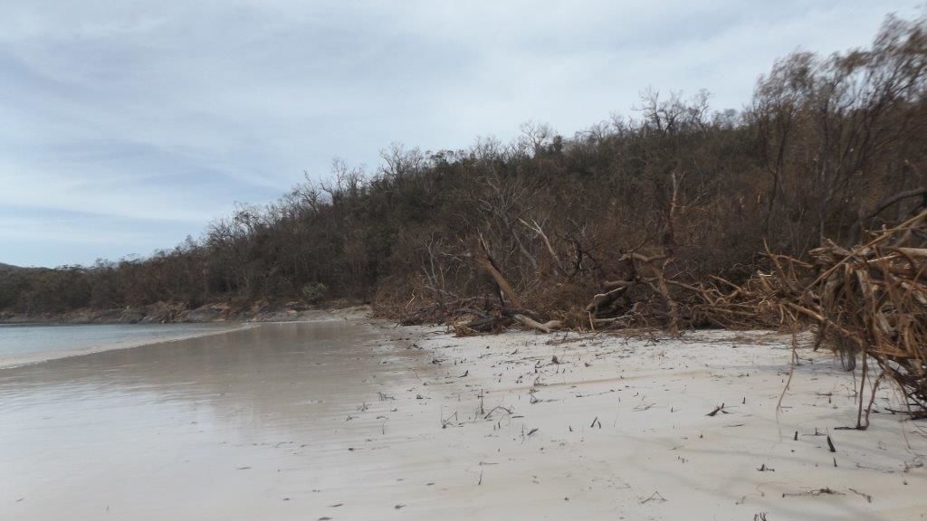 Rangers begin clean up on Whitehaven Beach