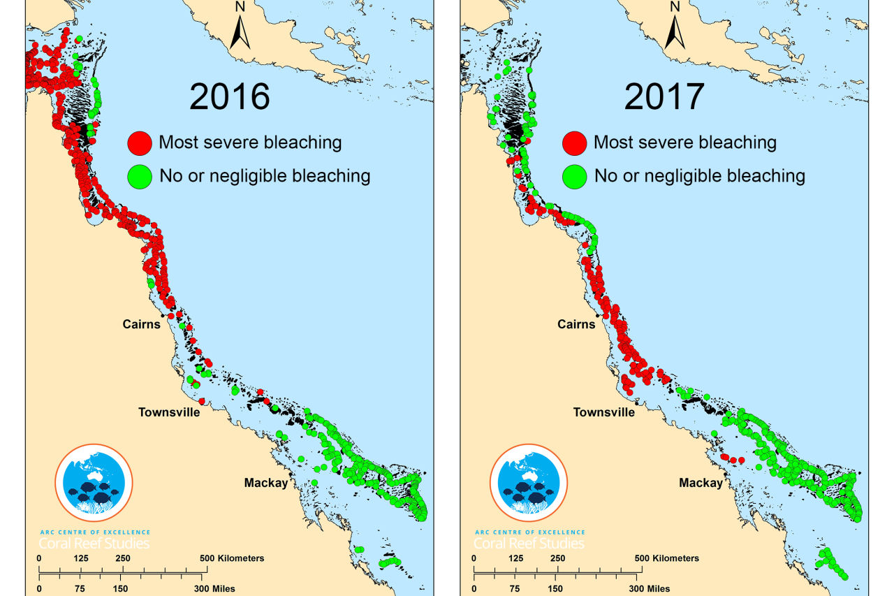 This composite map shows surveyed coral reefs in 2016 & 2017 