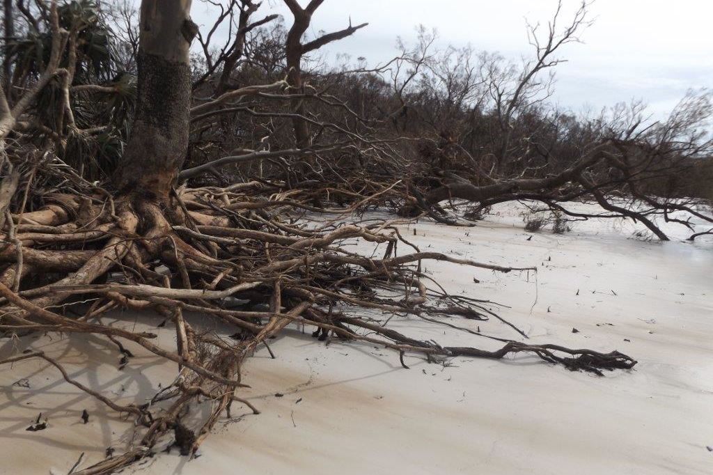 Whitsunday Island’s Whitehaven Beach following Tropical Cyclone Debbie