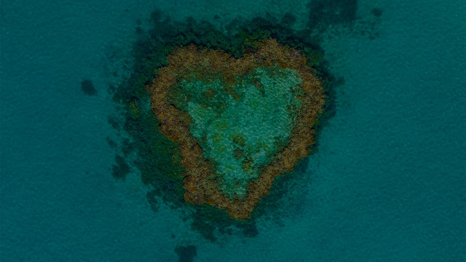 Heart Reef, Whitsundays