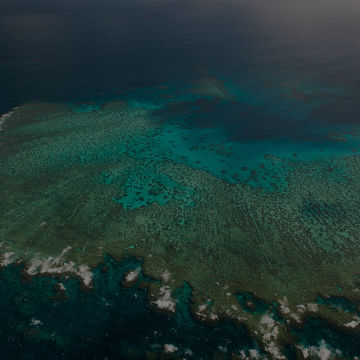 First funding grants open for Reef Water Quality Improvement