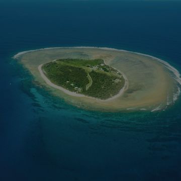 Lady Elliot Island