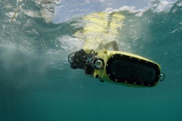 Robots ready to start killing crown-of-thorns starfish on Great Barrier Reef