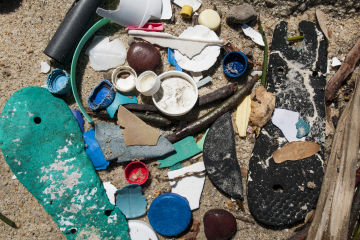 Marine debris