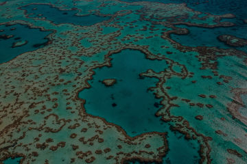 Resilient Reefs Initiative announcement