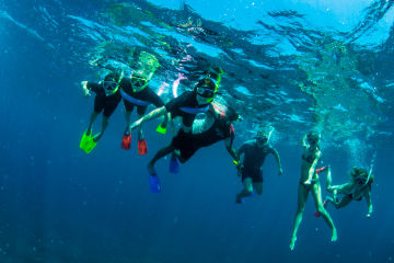 Volunteers making a world of difference to the Reef