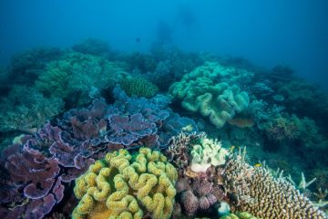 Great Barrier Reef on Lonely Planet's Ultimate Travelist