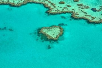 Saving the Great Barrier Reef through innovative partnerships