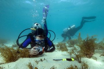 Reef Check Australia