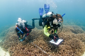 ReefBlitz kicks off in Moreton Bay