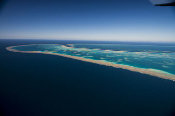 Resilient reefs offer hope for regeneration