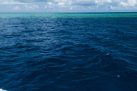 Largest water chemistry observing system in the southern ocean