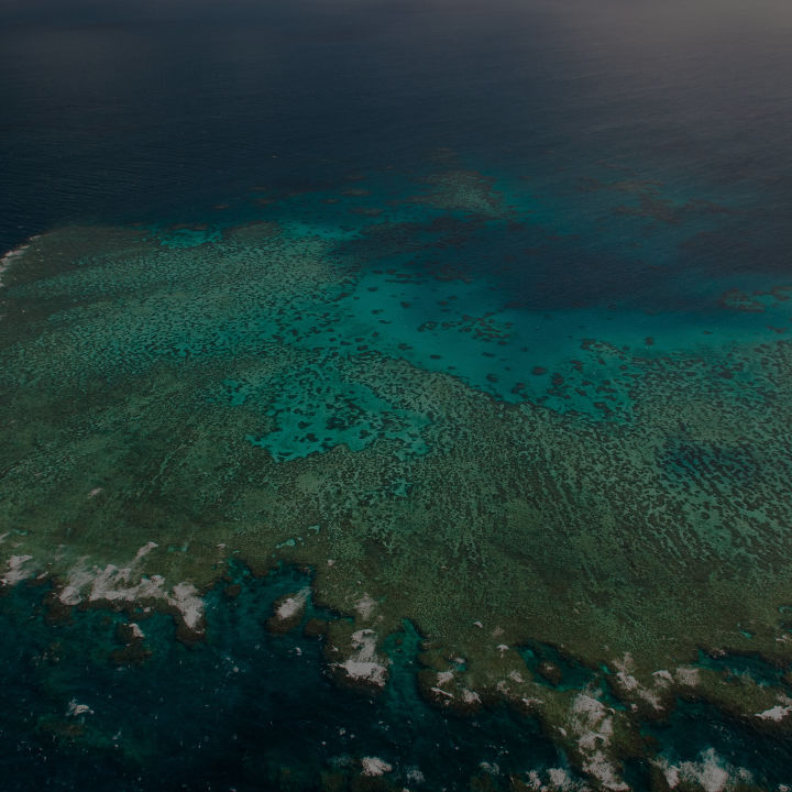 Over $19 million of Reef Trust Partnership Water Quality Grants for Regional Queensland 