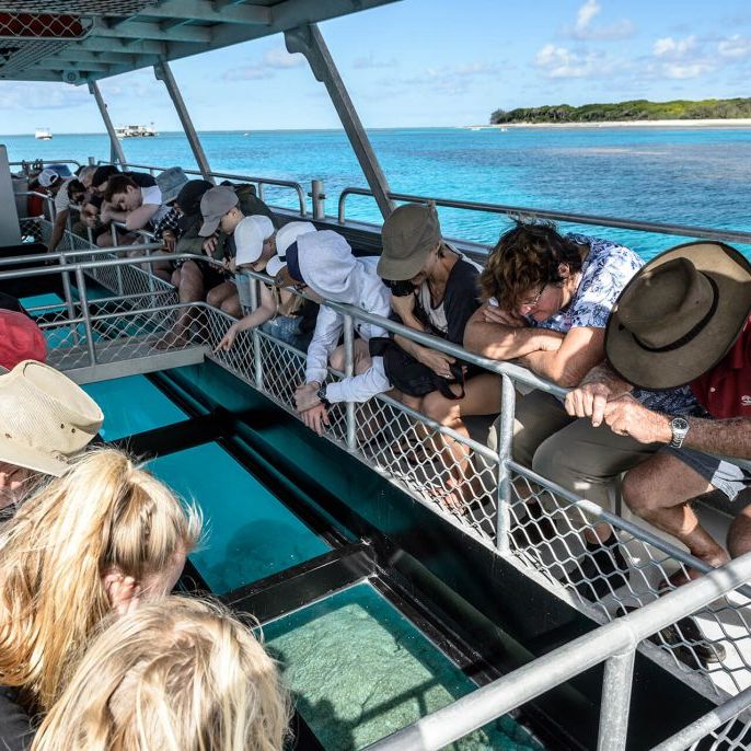 Lady Musgrave Reef Custodians