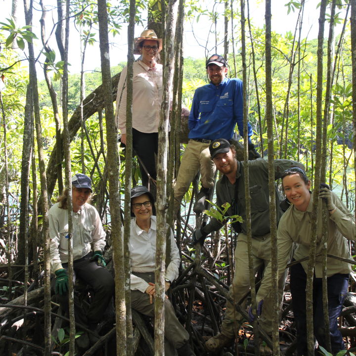 Protecting wetlands for the future