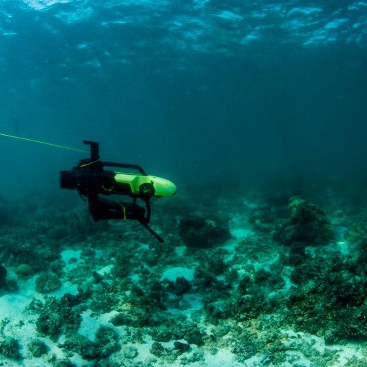 6. Coral babies dispersed onto damaged reef