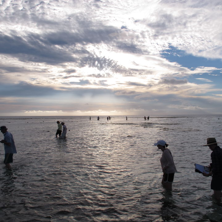 Heron Island