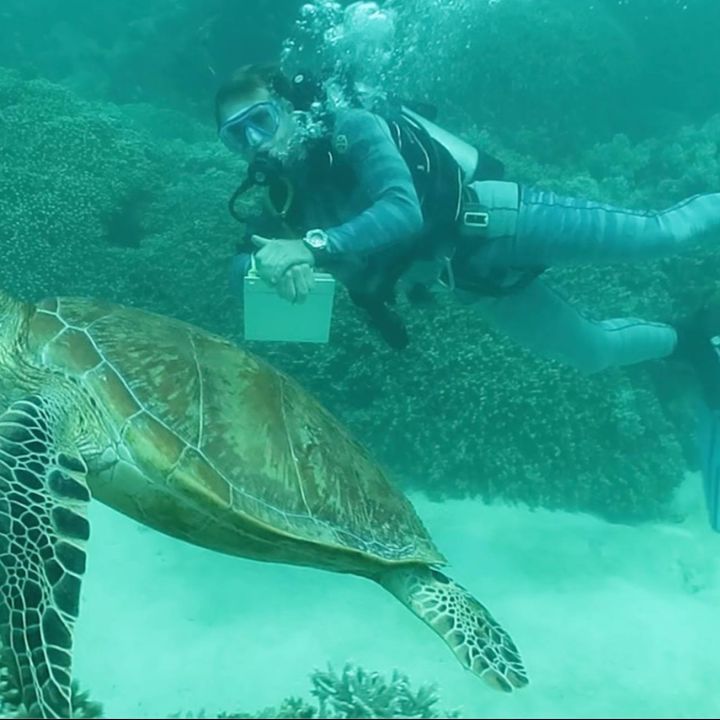 Integrated coral reef citizen science