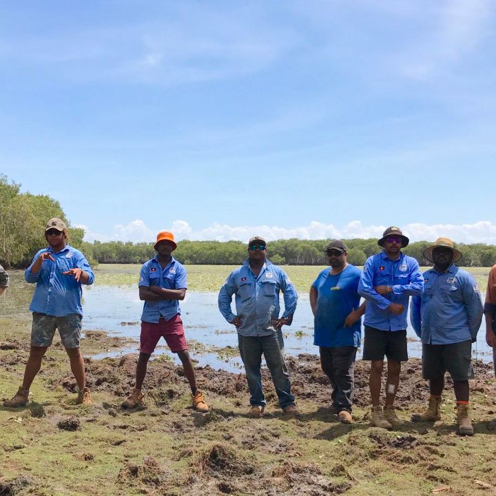 Creating sensitive visitors to the Great Barrier Reef Northern Region 