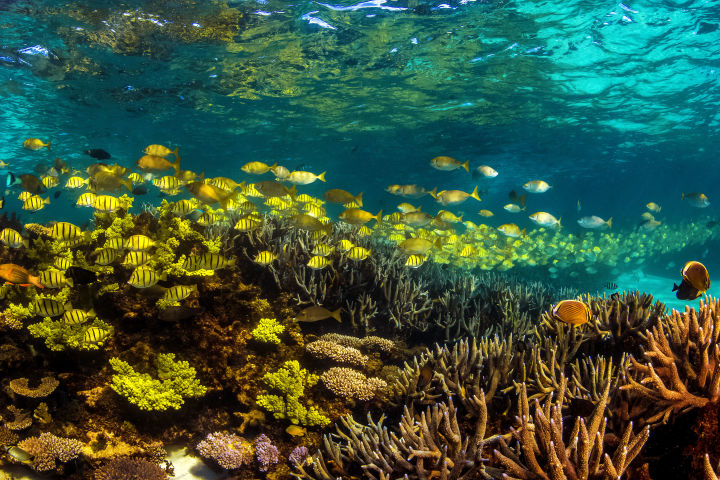 Ningaloo Coast