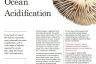 Ocean Acidification 