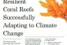 Resilient Coral Reefs 